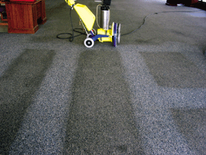 Commercial Carpet Cleaning - Encapsulation